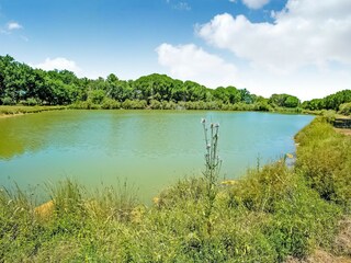 Vakantiehuis Petrignano del Lago Omgeving 31