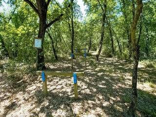 Casa per le vacanze Petrignano del Lago Ambiente 29