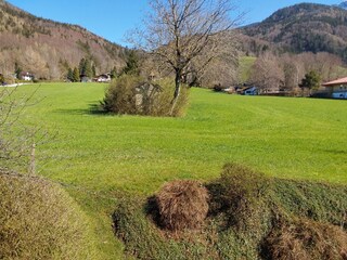 Ausblick vom Balkon