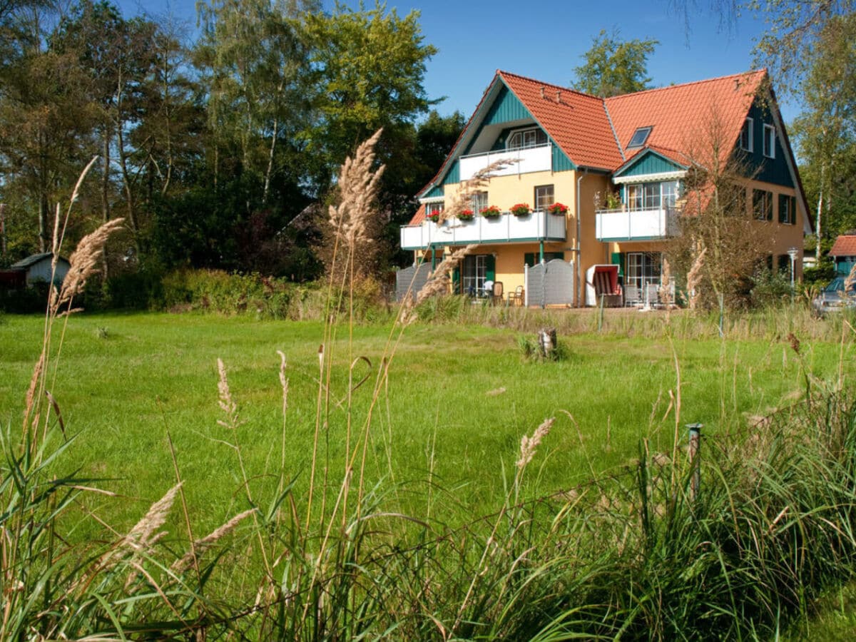 Außenansicht im Sommer