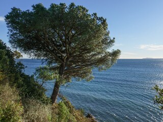Residenza La Croix-Valmer  26