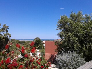 Casa per le vacanze Saint-Pierre-la-Mer Registrazione all'aperto 6