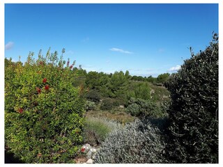 Blick bewaldetes Gebirge