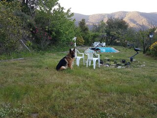 Casa de campo Calella  40