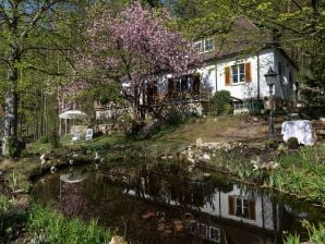 Appartement Vakantiewoning in Opper-Franken met tuin - Kopjes - image1