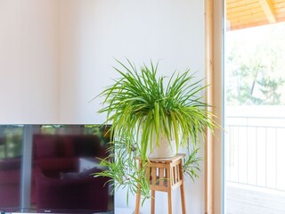 Casa per le vacanze Winsen (Aller)  37