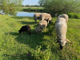 Casa de vacaciones Winsen (Aller) Entorno 32