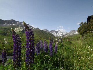 vom Balkon aus