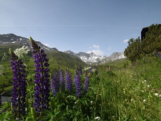 Blick vom Balkon Richtung Hörnli