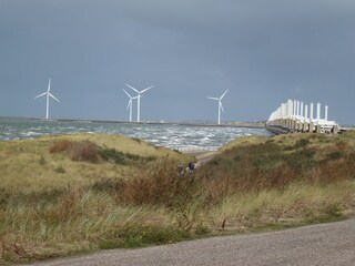 Vakantieappartement Kamperland Omgeving 15