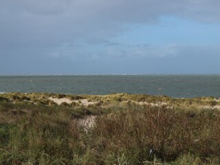 Vakantieappartement Kamperland Omgeving 16