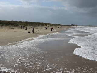 Appartamento per vacanze Kamperland Ambiente 17