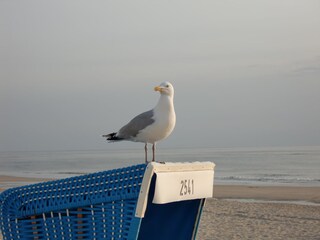 Ferienhaus Keitum Umgebung 22