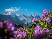 Blick aus dem Garten auf die Berge