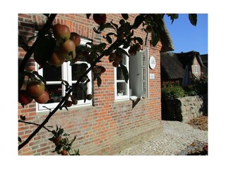 Ferienhaus Nieblum Außenaufnahme 4