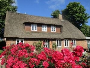 Ferienhaus Alte Schmiede - Nieblum - image1