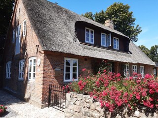 Ferienhaus Nieblum Außenaufnahme 6