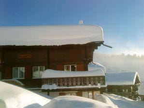 Holiday apartment Bellavista - Bettmeralp - image1