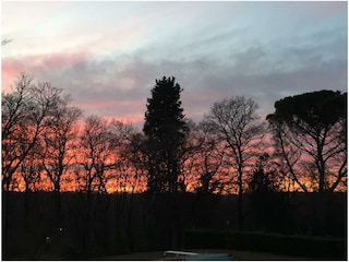 Sonnenuntergang im Park