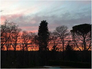 Vakantieappartement Fauglia Omgeving 30