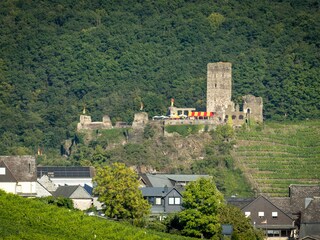 Blick auf Burg Metternich Beilstein