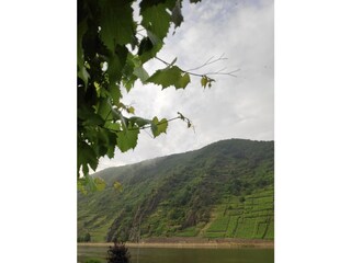 Blick von der Terrasse auf den Rüberberg