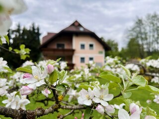 Appartamento per vacanze Velden Registrazione all'aperto 5