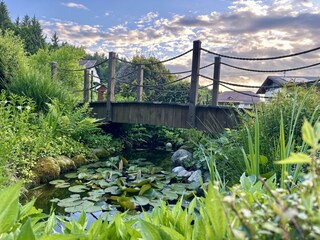 Gartenteich