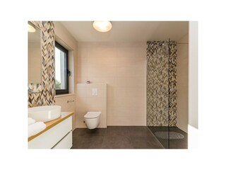 Villa Ližnjan Kenmerken 38