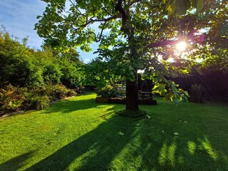 Appartamento per vacanze Ouddorp Registrazione all'aperto 10