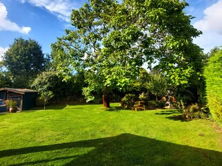 Apartamento de vacaciones Ouddorp Grabación al aire libre 11