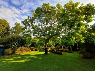 Appartamento per vacanze Ouddorp Registrazione all'aperto 12