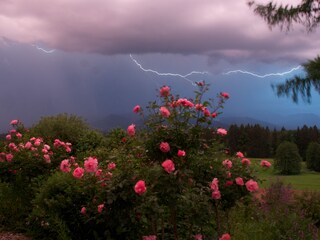 Der Blick ist bei jedem Wetter spannend