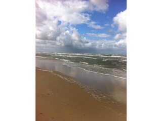 Villa Bergen (Holland) Environnement 37