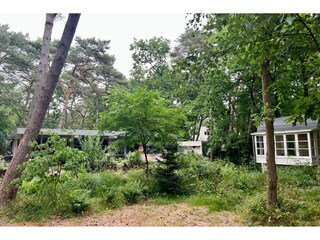 Villa Bergen (Holland) Environnement 32