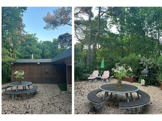 Villa Bergen (Holland) Environnement 31