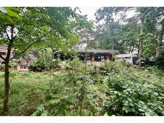 Villa Bergen (Holland) Buitenaudio-opname 5