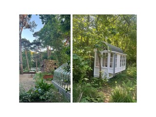 Villa Bergen (Holland) Environnement 29