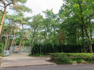 Villa Bergen (Holland) Environnement 34