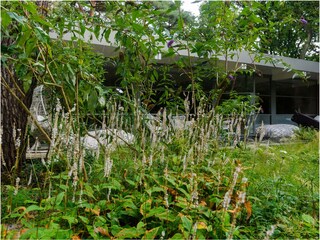 Villa Bergen (Holland) Environnement 35