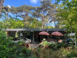 Villa Bergen (Holland) Grabación al aire libre 1