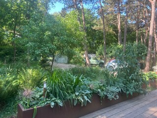 Villa Bergen (Holland) Enregistrement extérieur 7