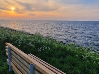 Holiday apartment Andijk Outdoor Recording 29