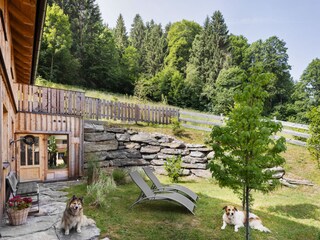 Appartamento per vacanze Haus im Ennstal Caratteristiche 16