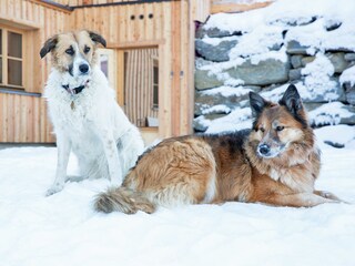 Appartamento per vacanze Haus im Ennstal Registrazione all'aperto 5