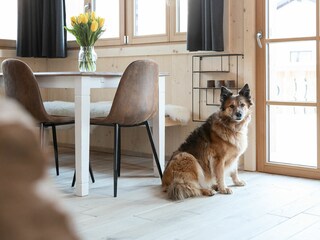 Appartamento per vacanze Haus im Ennstal Caratteristiche 9