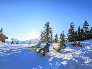 Appartamento per vacanze Haus im Ennstal Ambiente 24