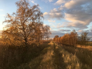 Boddendeich