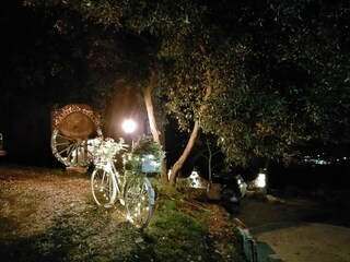 Apartment Terni  37