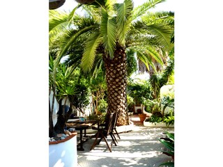 Maison de vacances Cabanas Enregistrement extérieur 5